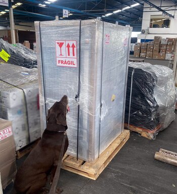 (Foto: Guardia Nacional)