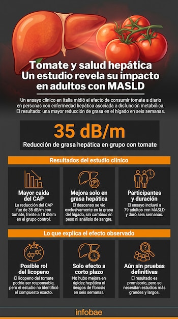 Infografía con una ilustración de un hígado y cuatro tomates, texto sobre estudio de tomate y reducción de grasa hepática en adultos con MASLD, e iconos.