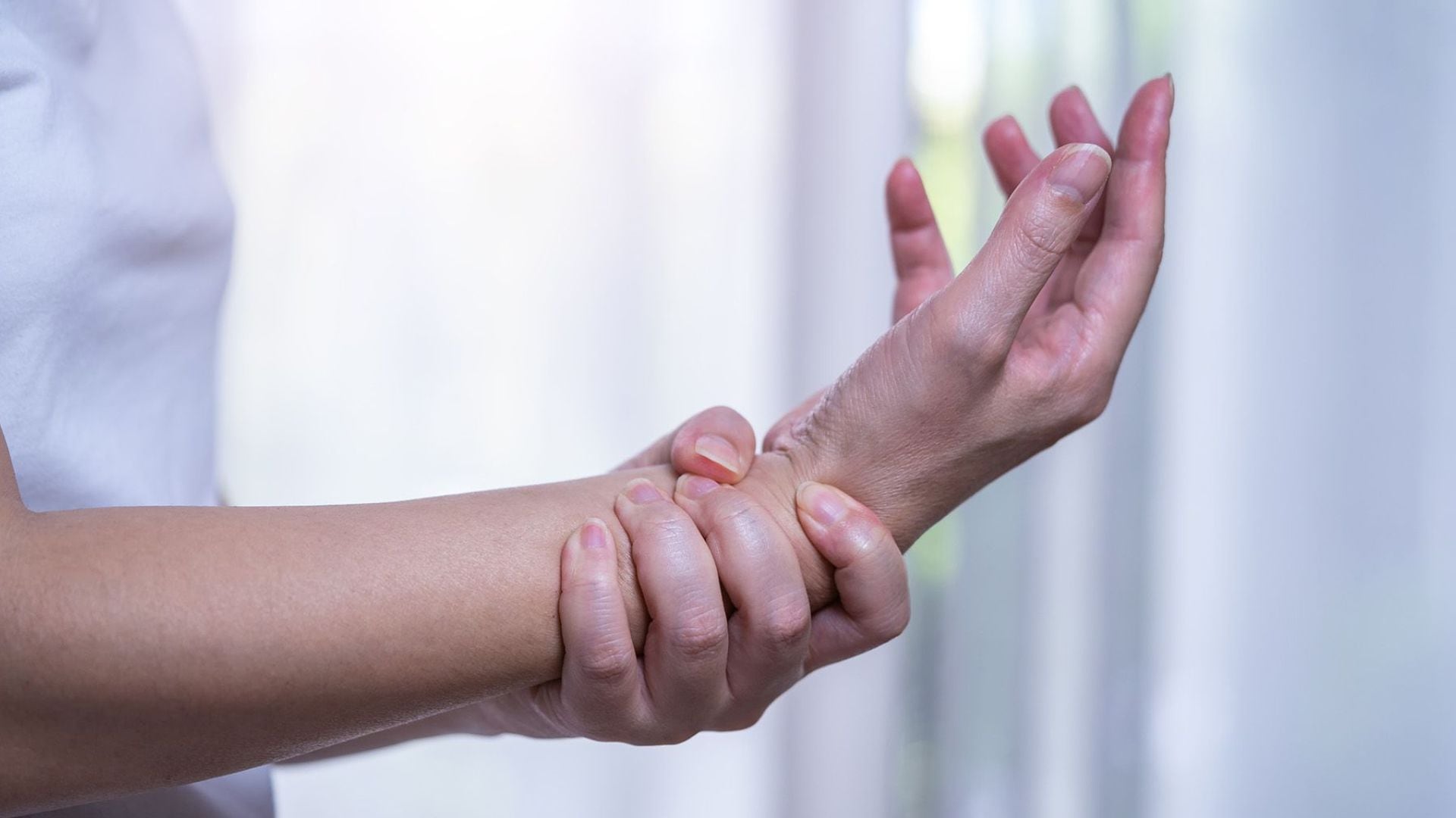 La evidencia científica actual legitima el uso tradicional de especies vegetales en el tratamiento de dolencias inflamatorias (Imagen ilustrativa Infobae)