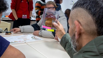 Abre la nueva convocatoria de los programas de ciencia inclusiva del Jardín Botánico para el curso 2027-2028