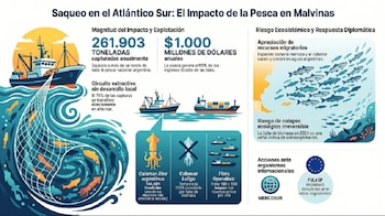 Impacto de la pesca extractiva en Malvinas - Infografía