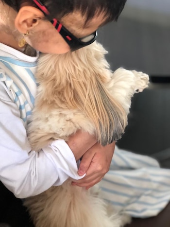 La terapia con perros transforma