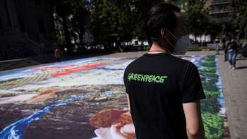 Greenpeace advierte sobre cuatro "urgencias"