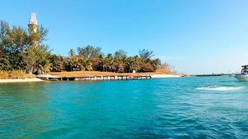 El Sistema Arrecifal Veracruzano alberga