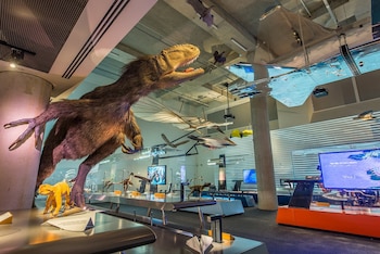 Tres niveles de exploración marina