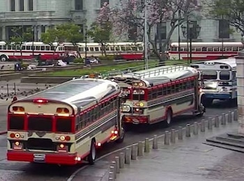 Varios autobuses rojos y blancos con portaequipajes en el techo circulan por una calle pavimentada junto a una plaza con árboles