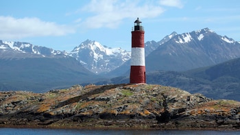 Fue a partir de estudios