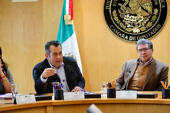 El grupo parlamentario de Morena