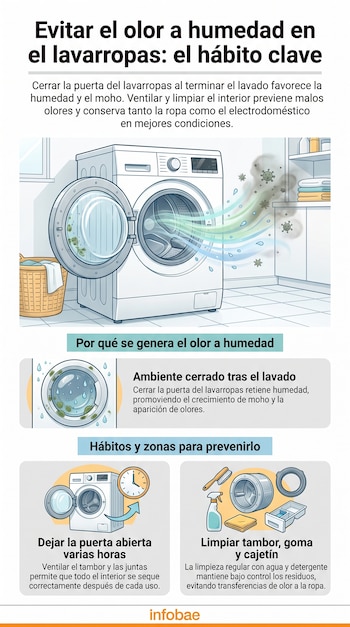 Infografía sobre cómo evitar olor a humedad. Muestra un lavarropas ventilando, otro con moho y malos olores, y herramientas para limpiar sus componentes.