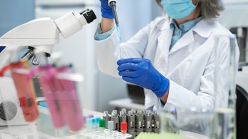 Una bacteria diseñada en laboratorio logra frenar el cáncer de páncreas en ratones gracias a una innovadora inmunoterapia