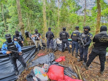 A mediados de enero se