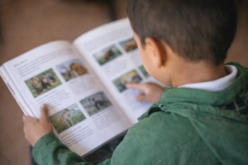 Vista por encima del hombro de un niño latino con una chaqueta verde, leyendo un libro abierto que muestra imágenes desenfocadas de animales.