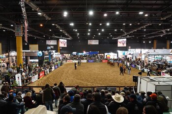 Imponente marco para la elección