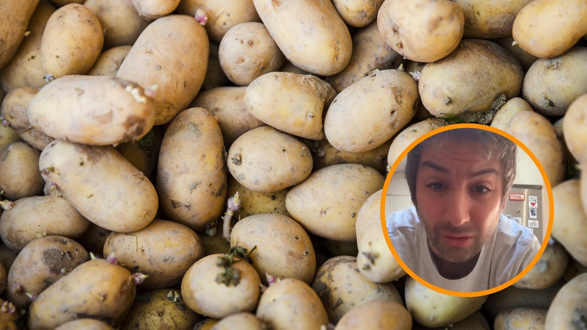 Patatas con brotes y cambios de color que indican toxicidad