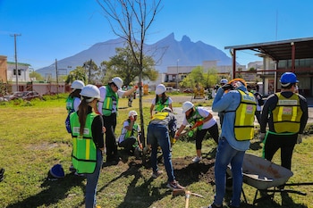 El proyecto implica la reforestación