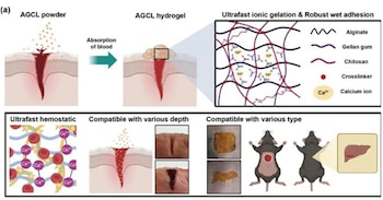 El desarrollo surgió de un