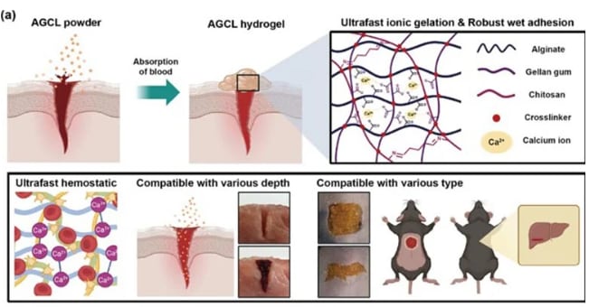 El desarrollo surgió de un proyecto del KAIST con participación directa de un mayor del Ejército en servicio activo (Kaist)