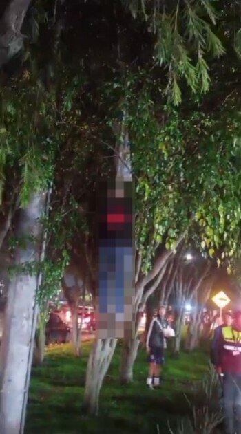 Los mismos conductores y transeúntes