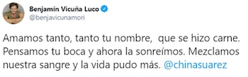 El mensaje de Vicuña por