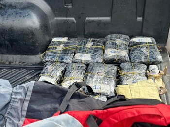 Dinero en efectivo y cápsulas