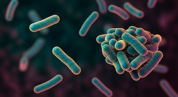 Imagen 3D de bacterias con forma de bastón de color turquesa y contornos anaranjados, algunas agrupadas en un racimo y otras flotando dispersas sobre un fondo oscuro.