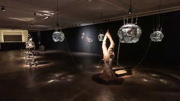 La exhibición se presenta en Piso Tres, un nuevo lugar expositivo, pero que es en su esencia una plataforma con el foco puesto en la experimentación y la investigación