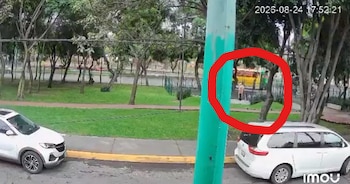 Los lomitos, uno con características de labrador y otro similares a un schnauzer, fueron vistos en la zona de Coapa después de ser dejados en la calle.