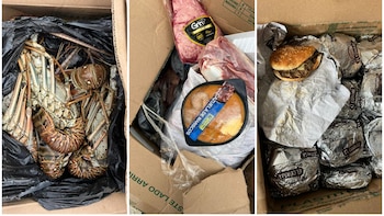 Incautan millonario cargamento de comida