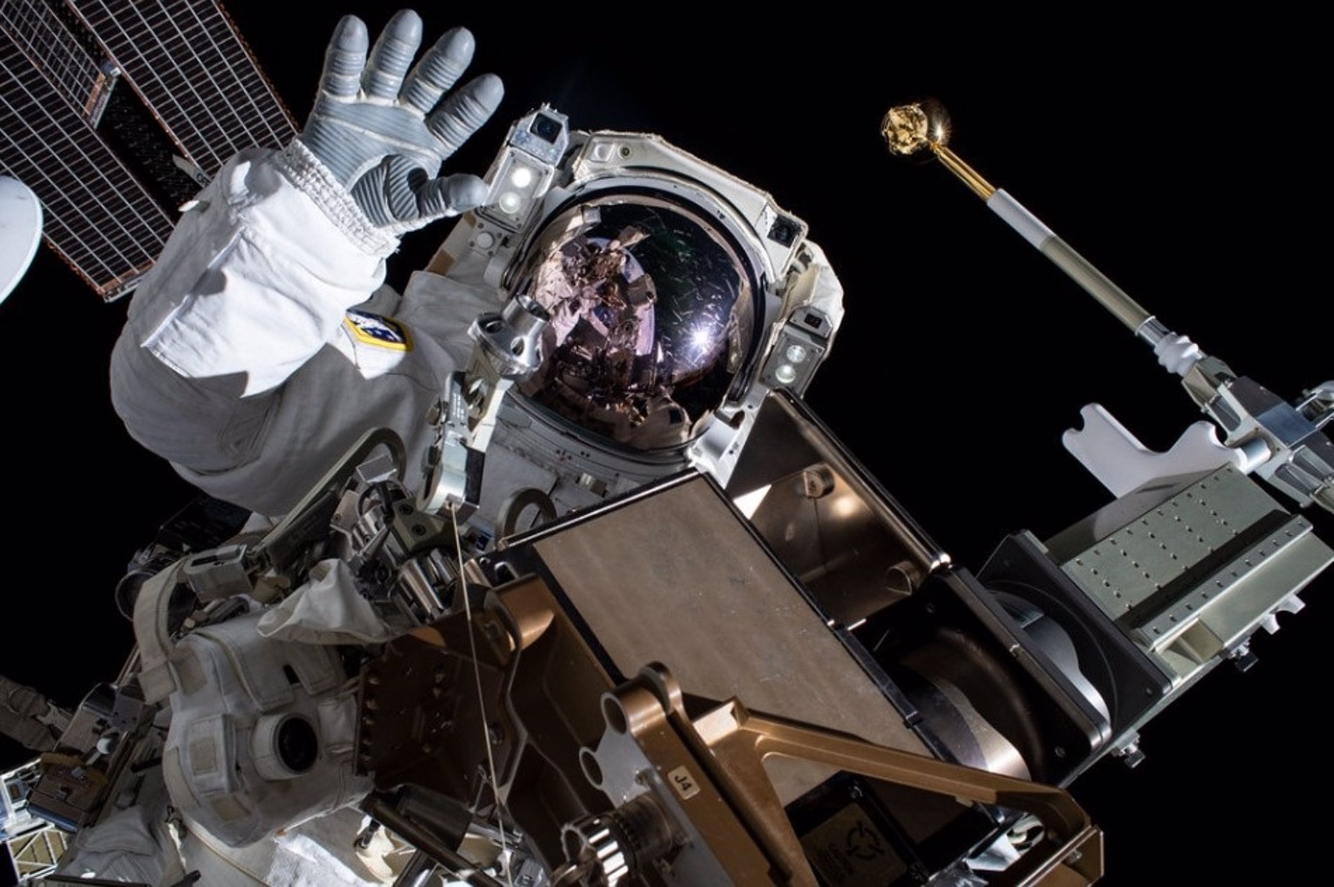 Experimentos en la Estación Espacial Internacional muestran que la microgravedad altera la expresión genética de células humanas a nivel molecular- NASA