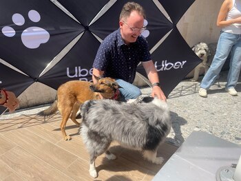 Esteban Illanes asegura que espera