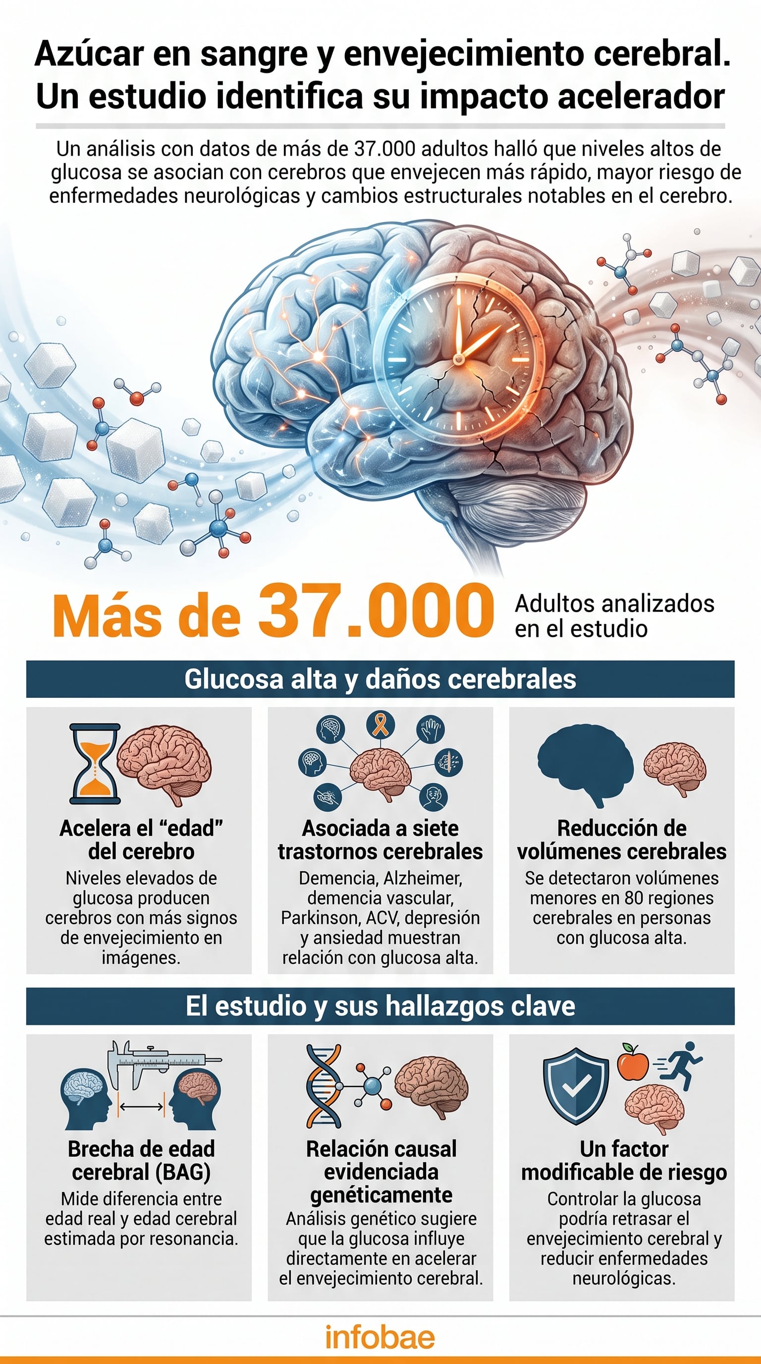 La glucosa plasmática se asocia con una brecha de edad cerebral más alta (Imagen Ilustrativa Infobae)
