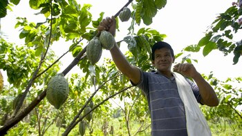 Gobierno colombiano expidió decreto para