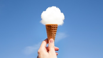 Los niños son "entrenados" para