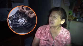 Mujer se lanza del segundo piso de su vivienda para huir de la Policía: inmueble funcionaba como base de venta de droga en SJL