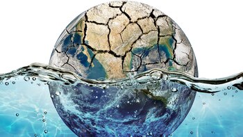 De hábitats árticos a selvas