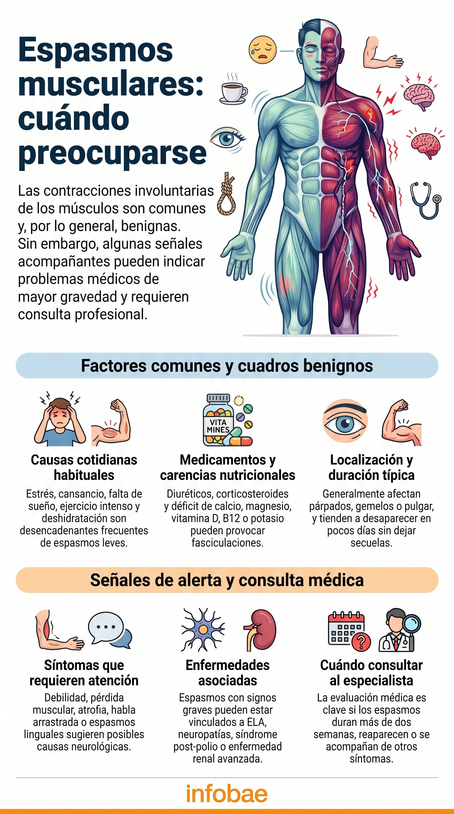 Las fasciculaciones aparecen cuando una señal nerviosa se altera y provoca la contracción breve e involuntaria de fibras musculares (Imagen Ilustrativa Infobae)
