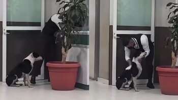 Captan adorable momento en el