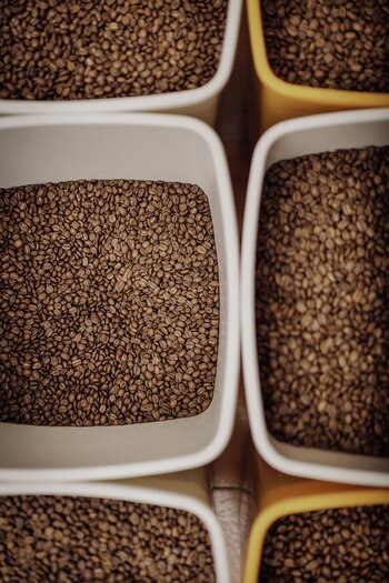 Café de especialidad. (Libería libre