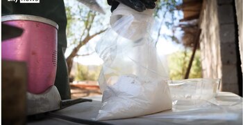 Miembros del Cártel de Sinaloa