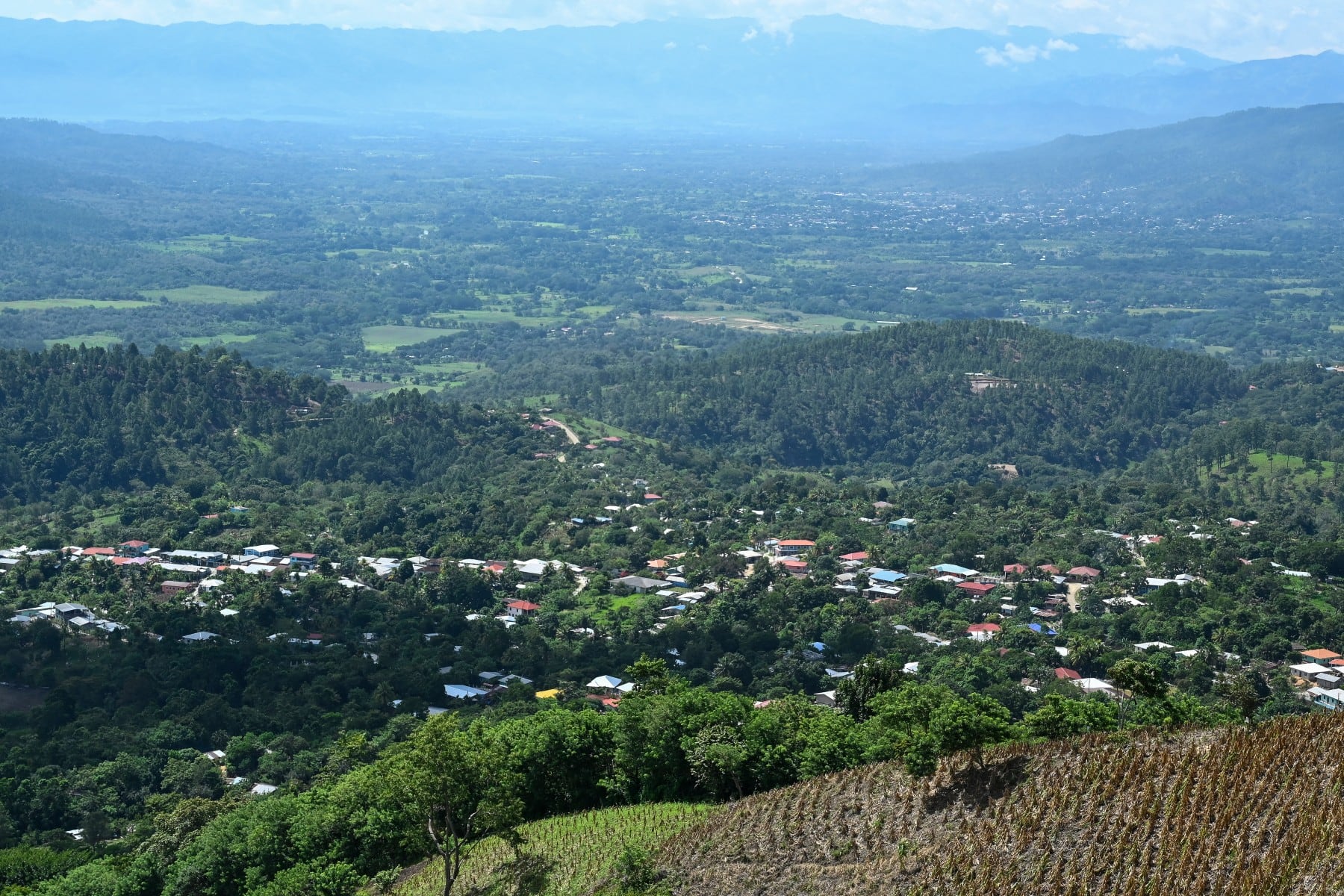 Un paisaje montañoso del occidente hondureño, donde las condiciones de humedad, sombra y altitud favorecen el cultivo de cardamomo, que suele asociarse con plantaciones de café. (Infobae Centroamérica/ Orlando SIERRA / AFP)