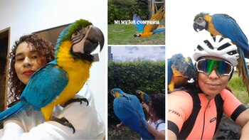 Lupita llegó en 2023 junto