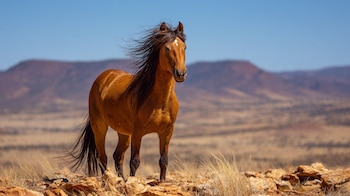 (Imagen Ilustrativa Infobae)