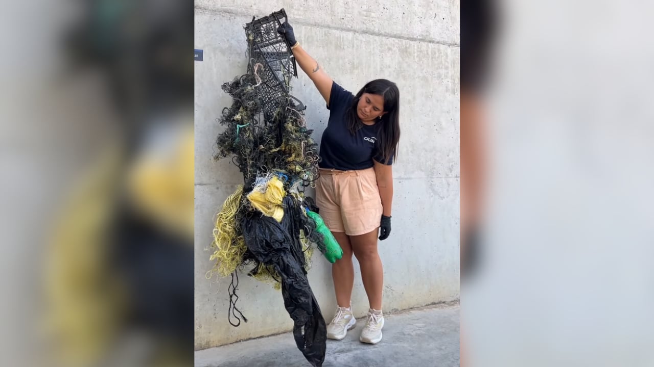 La basura que arrastraba Atenas cuando fue encontrada por los Agents Rurals. (CRAM/Instagram)