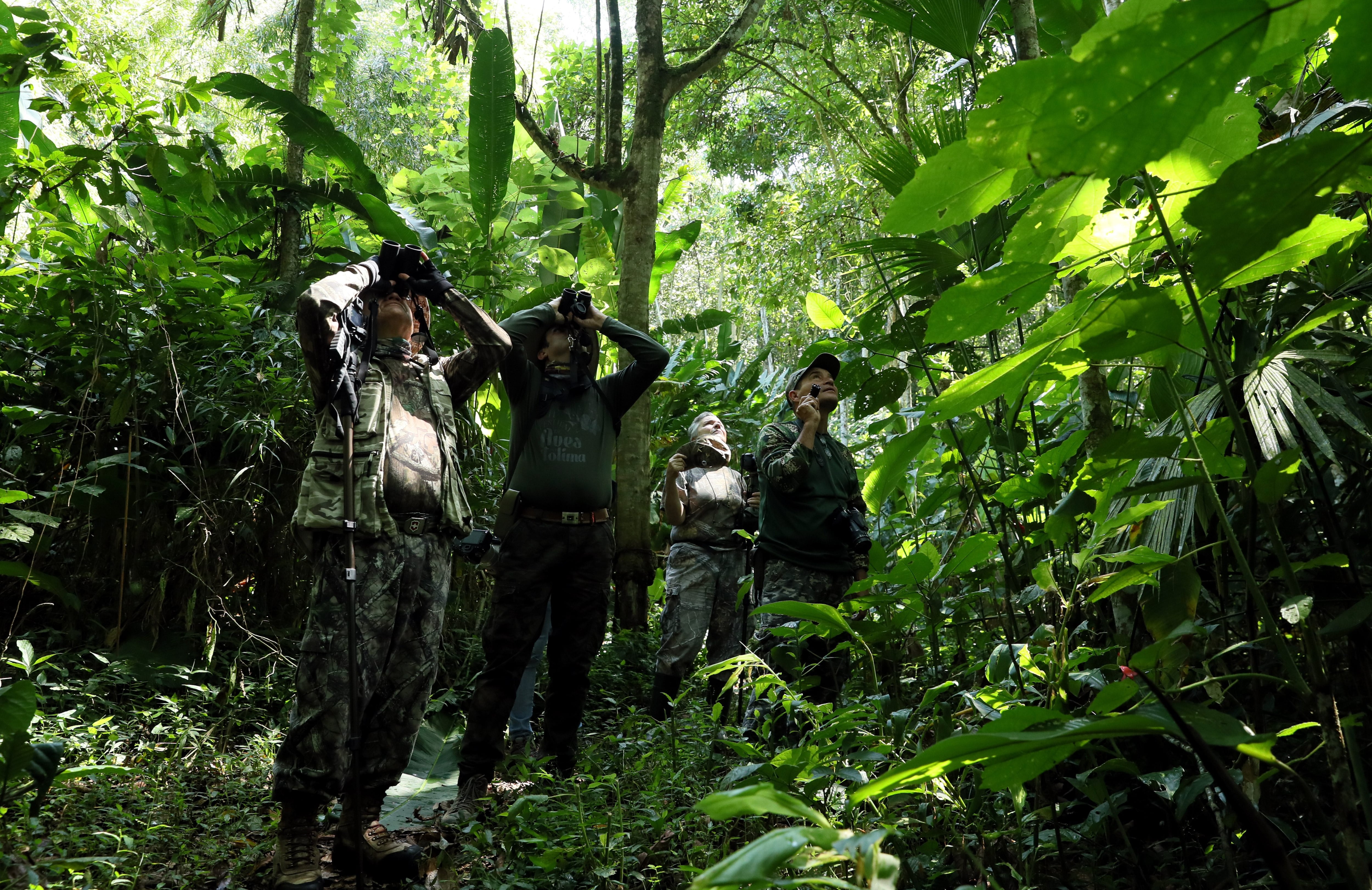 El deterioro de la seguridad obligó a turistas y guías a restringir recorridos en áreas biodiversas como Anchicayá, Cocuy y la Serranía del Perijá - crédito Mauricio Dueñas Castañeda/EFE