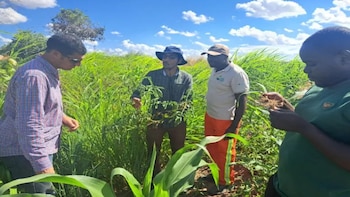 El “know how” argentino que