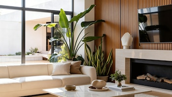 PLANTAS LIVING DECO