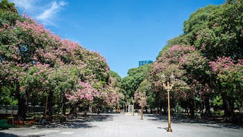 Imagen IRGAQIK3XFE53CZ5CEIAKWLDLY