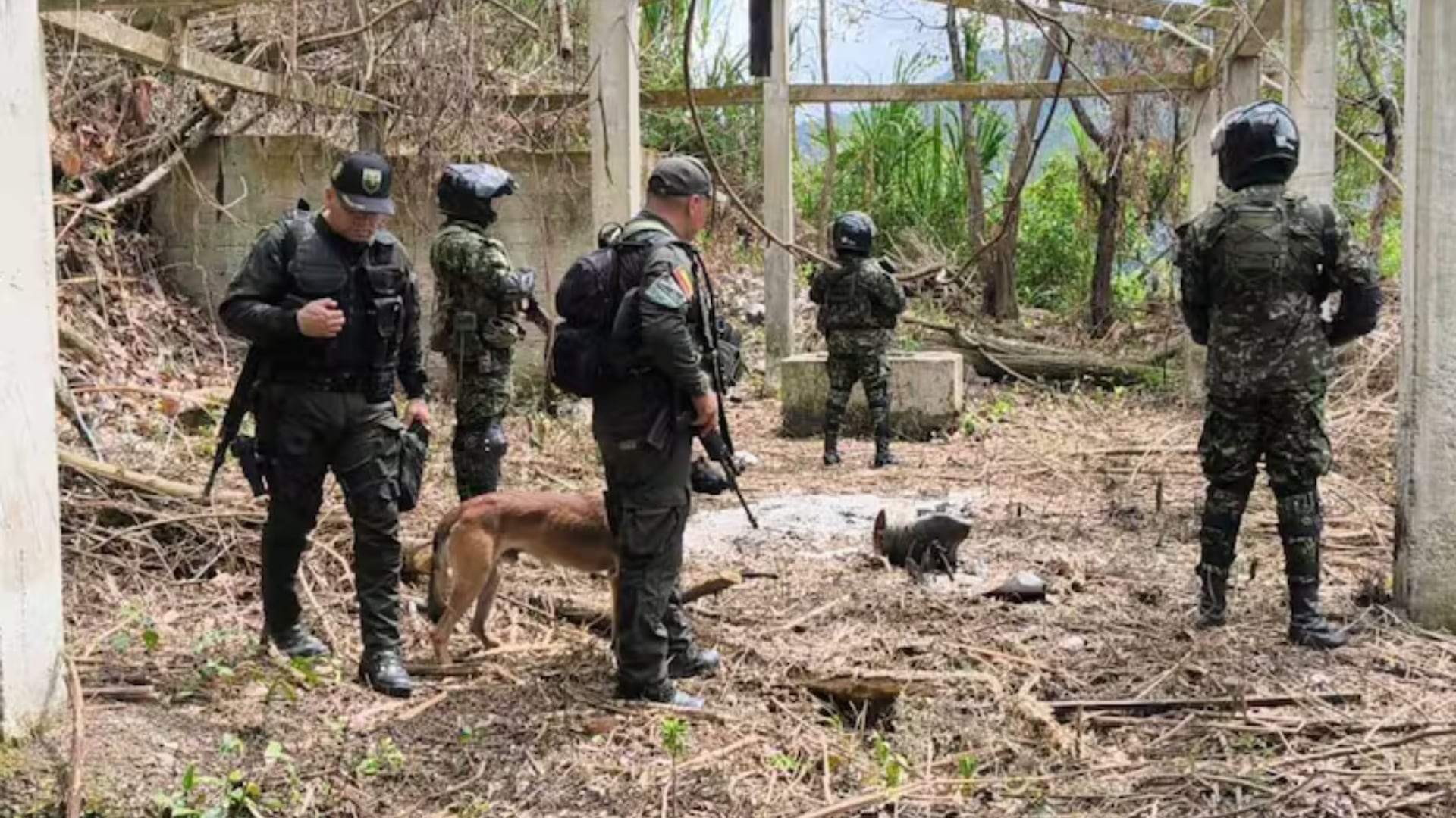 El Ejército ubicó el depósito ilegal de explosivos - crédito Ejército Nacional de Colombia