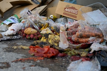 Los gallinazos juegan un papel