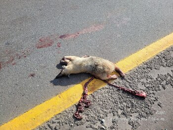 Centros de Atención y Valoración